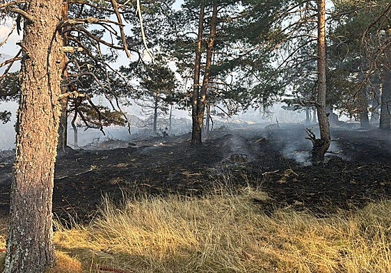 Vista general de la superficie quemada en el entorno de la pradera de Navalazor.