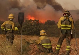 Bomberos forestales de la Junta acudían como voluntarios a sofocar el incendio de Puercas que amenazaba Losacio el martes de la pasada semana.