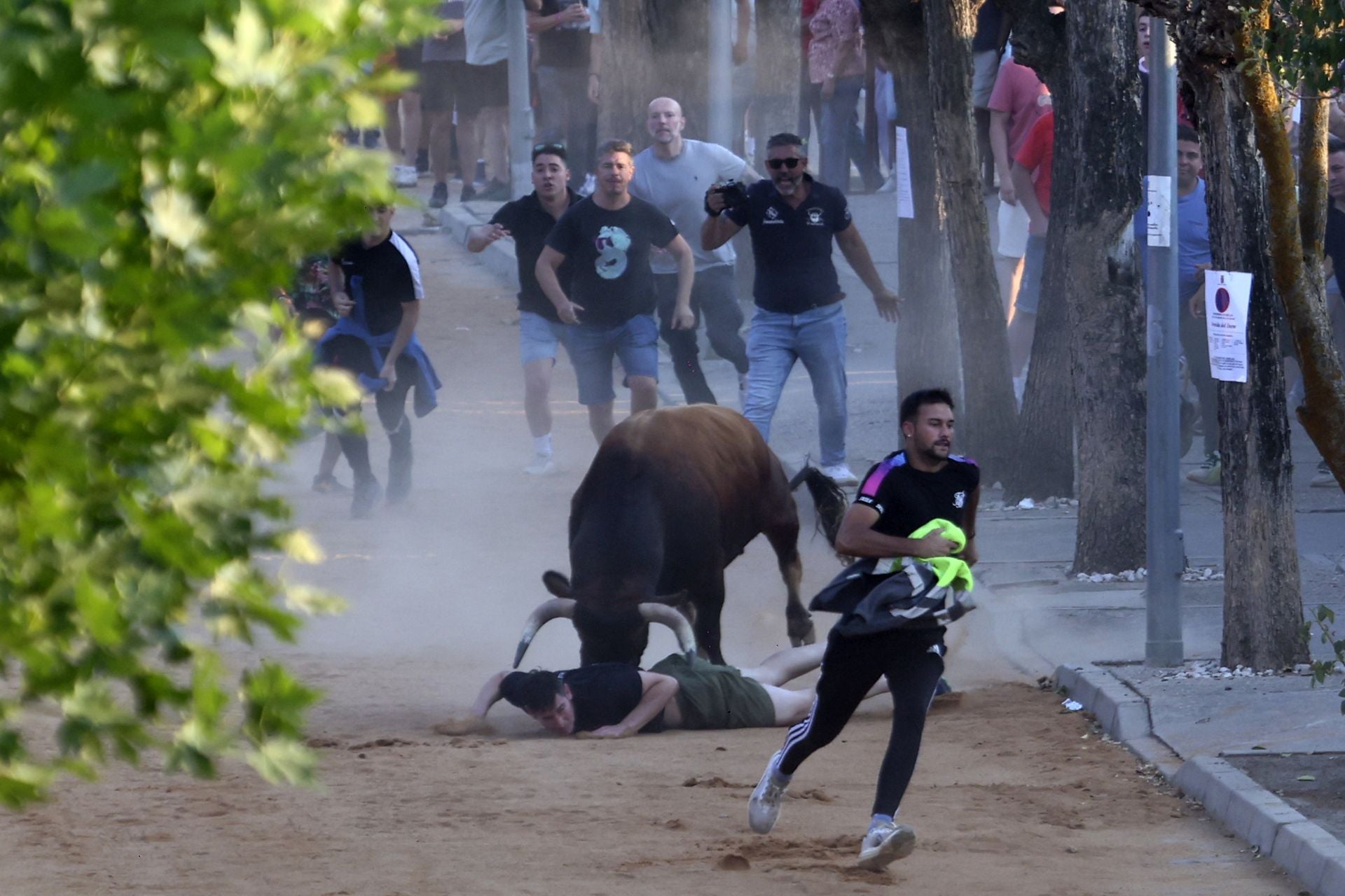 Herido en el encierro del toro de cajón en Serrada.