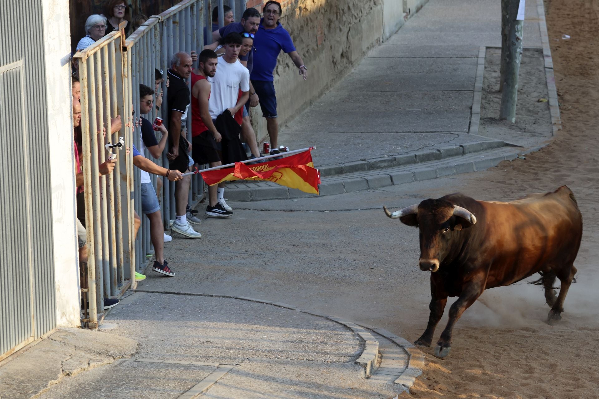 El encierro del toro de cajón en Serrada.