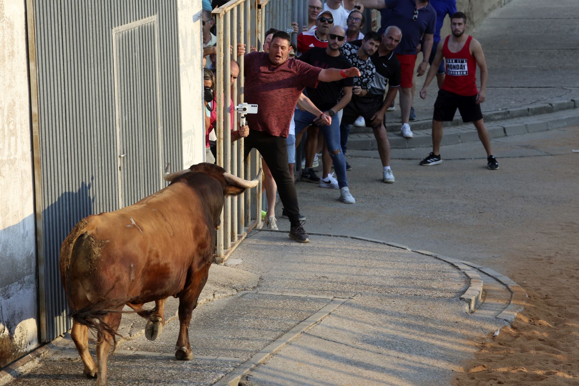 El encierro del toro de cajón en Serrada.
