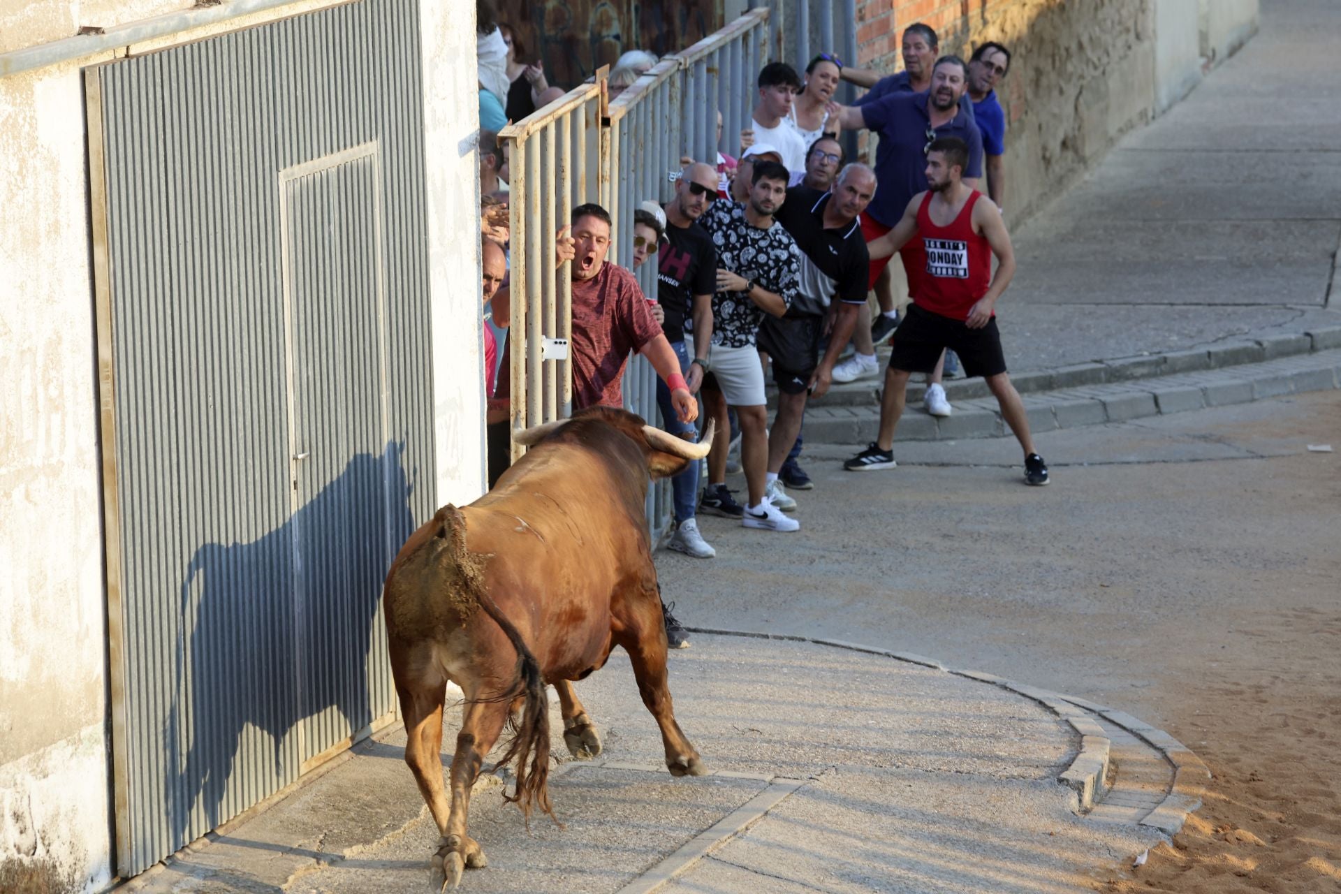 El encierro del toro de cajón en Serrada.