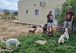 Alicia Pérez y José Montoya juegan con multitud de canes en su guardería situada en Basardilla.