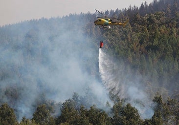 Avance «positivo» en los incendios de León y Zamora, donde cuatro siguen con riesgo alto
