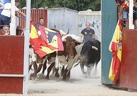 Imágenes del último encierro de las fiestas de Serrada