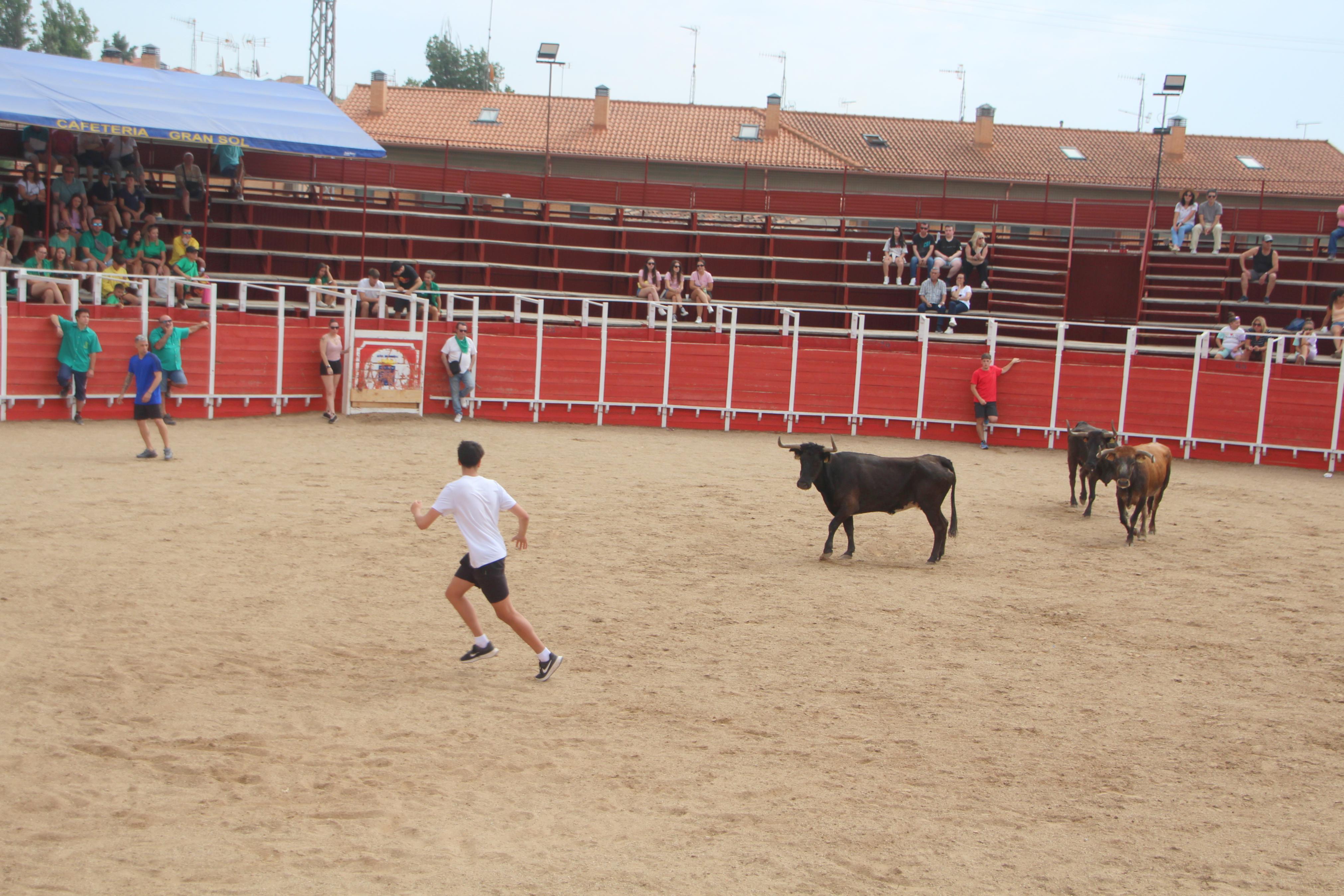 Encierros Tradicionales en Dueñas | El Norte de Castilla