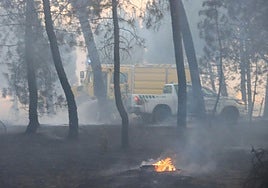 Incendio en un pinar de la provincia de Segovia en una fotografía de archivo.