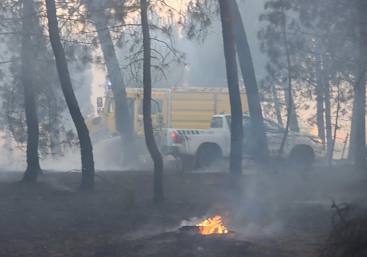 Incendio en un pinar de la provincia de Segovia en una fotografía de archivo.
