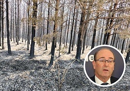 Incendio en la comarca de Guardo. En el círculo, José Ignacio Carrasco.
