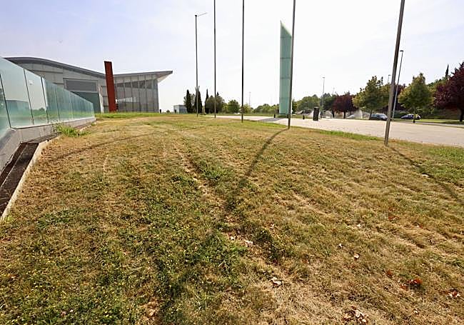 Zonas verdes junto al Miguel Delibes.