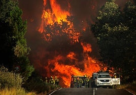 Incendio forestal en El Payo (Salamanca) en nivel 2 el pasado fin de semana.