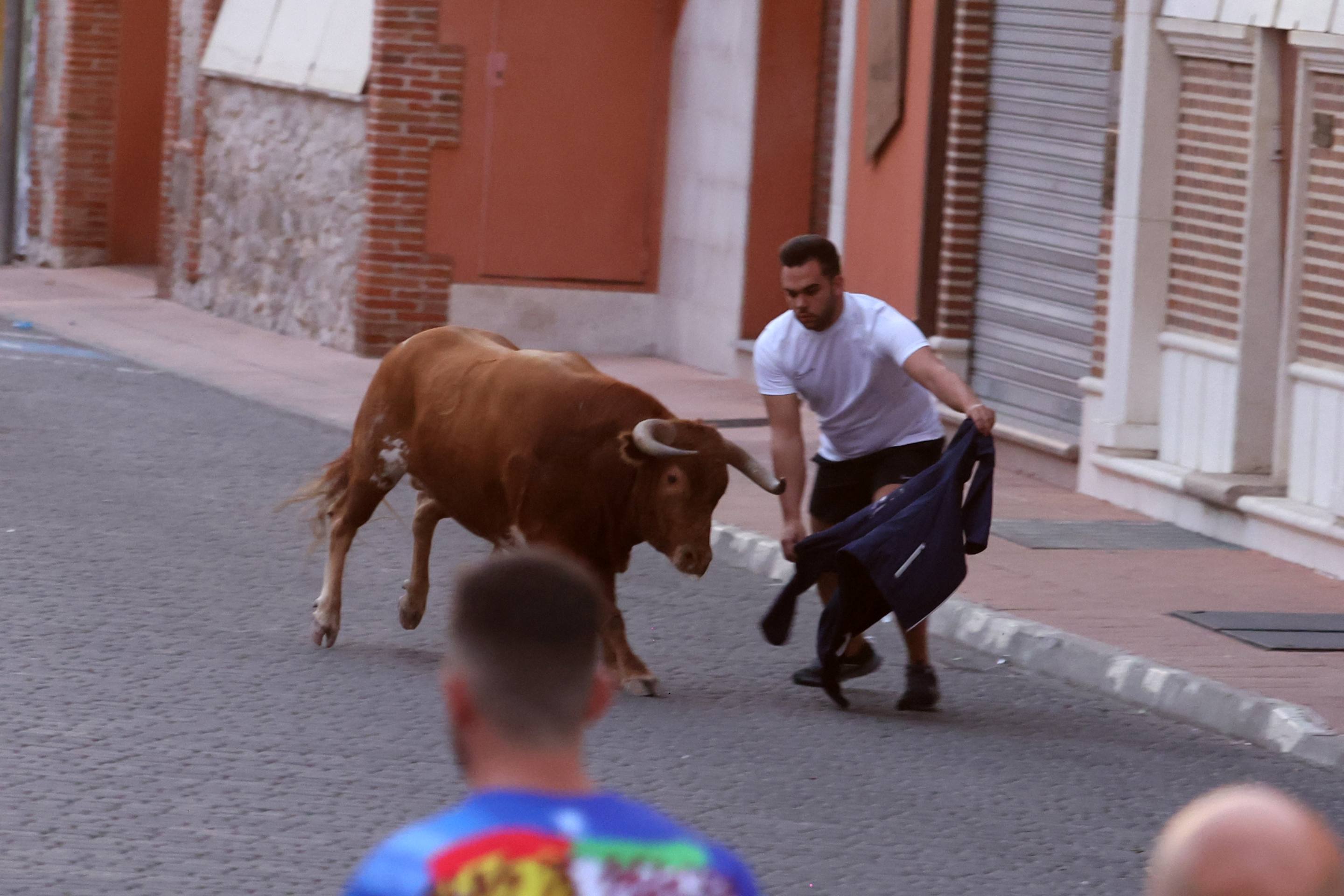 Las imágenes del encierro en Pedrajas de San Esteban
