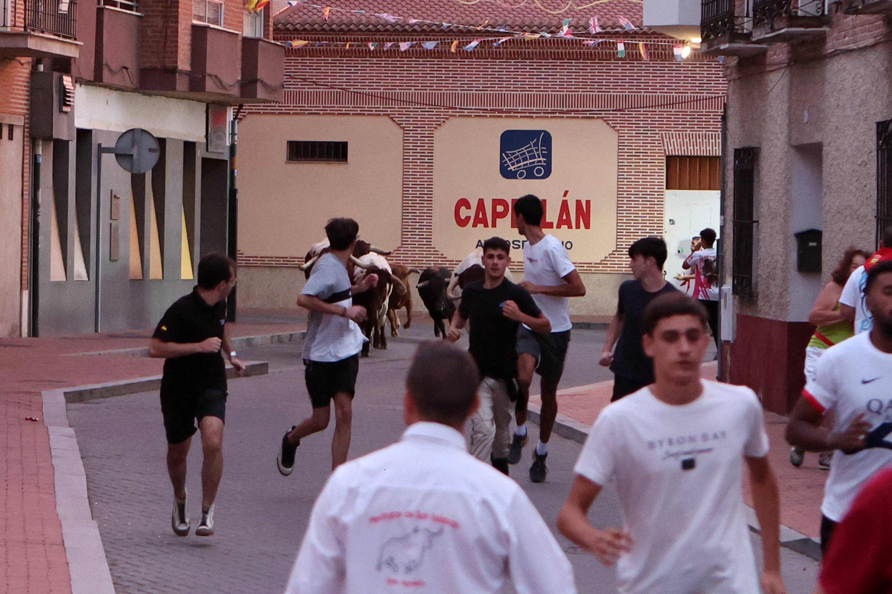 Las imágenes del encierro en Pedrajas de San Esteban