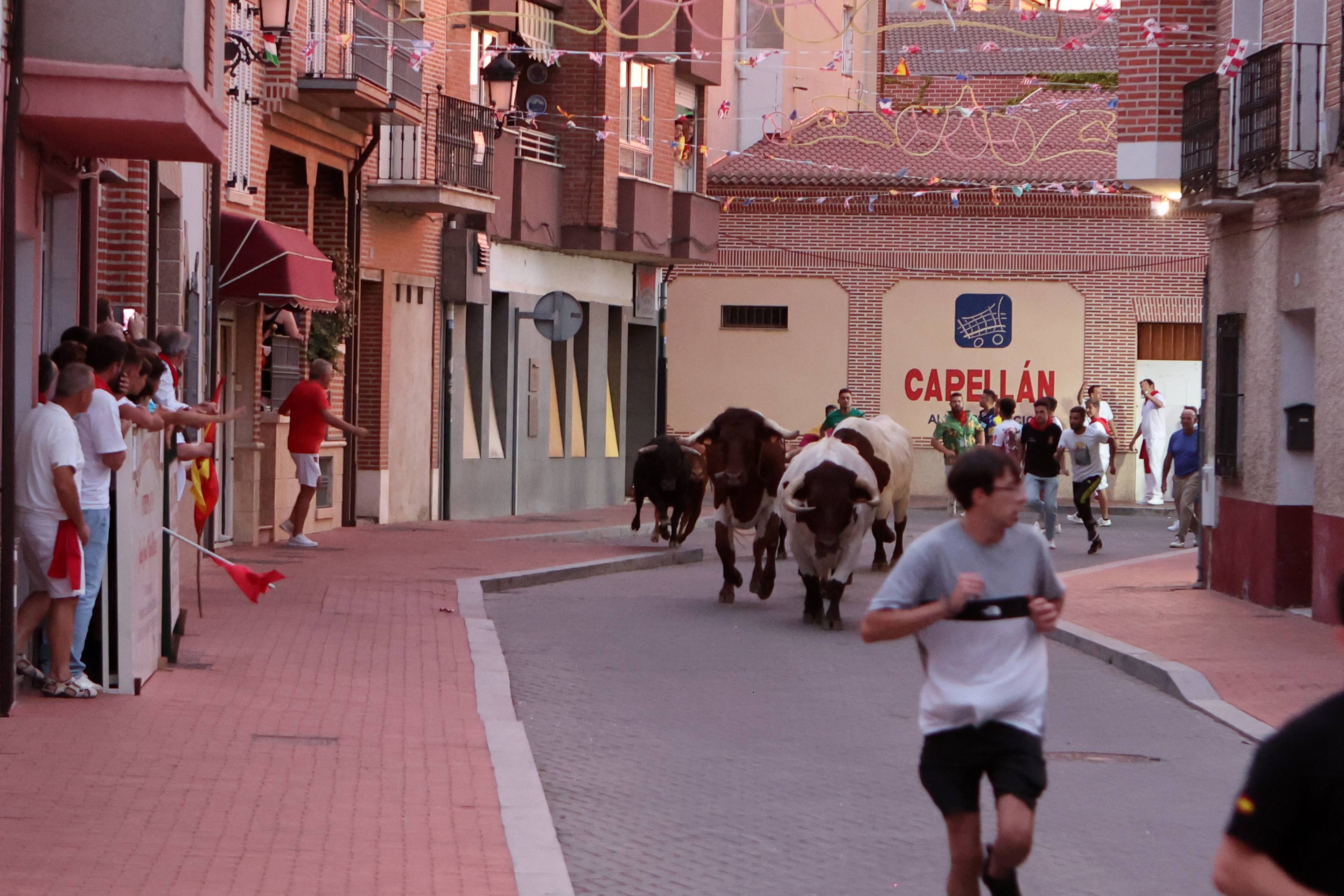 Las imágenes del encierro en Pedrajas de San Esteban