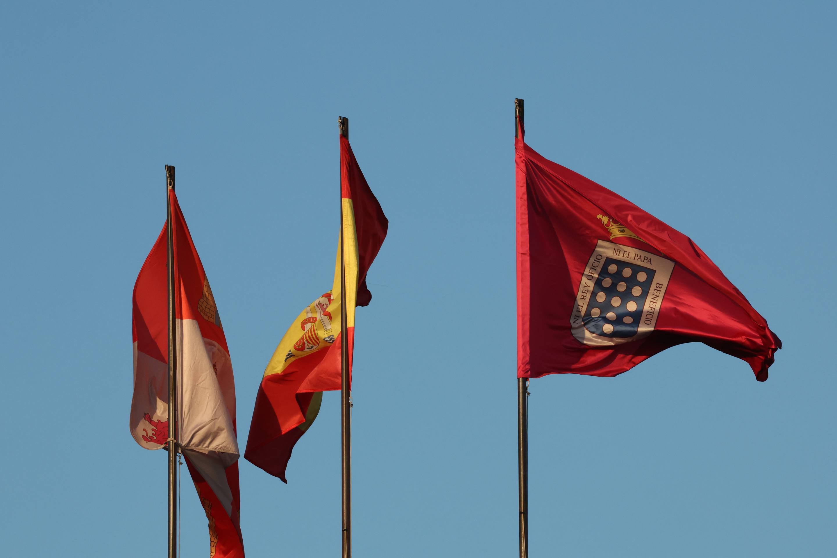 El encierro de bueyes y el desenjaule de novillos de Medina del Campo, en imágenes