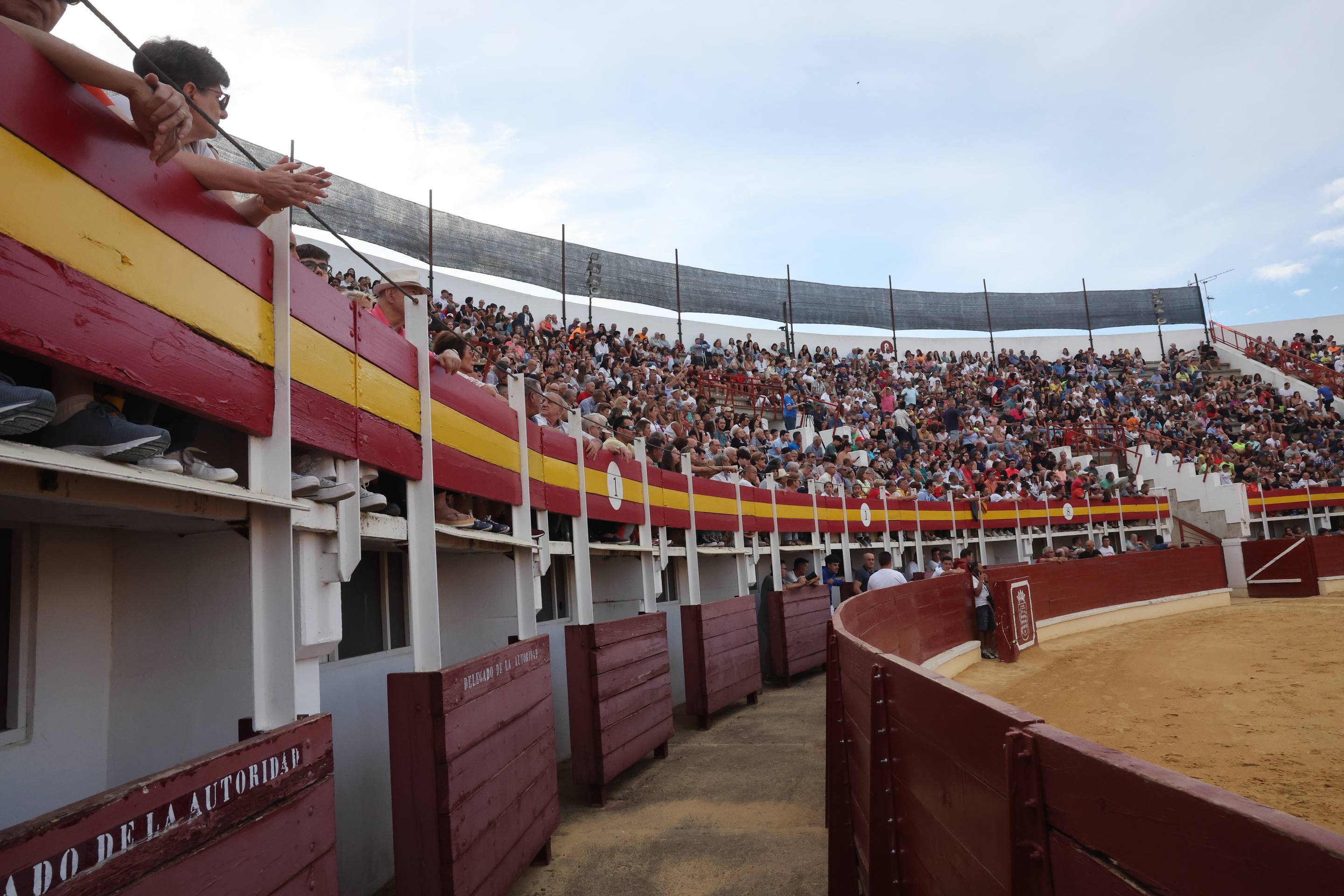 El encierro de bueyes y el desenjaule de novillos de Medina del Campo, en imágenes
