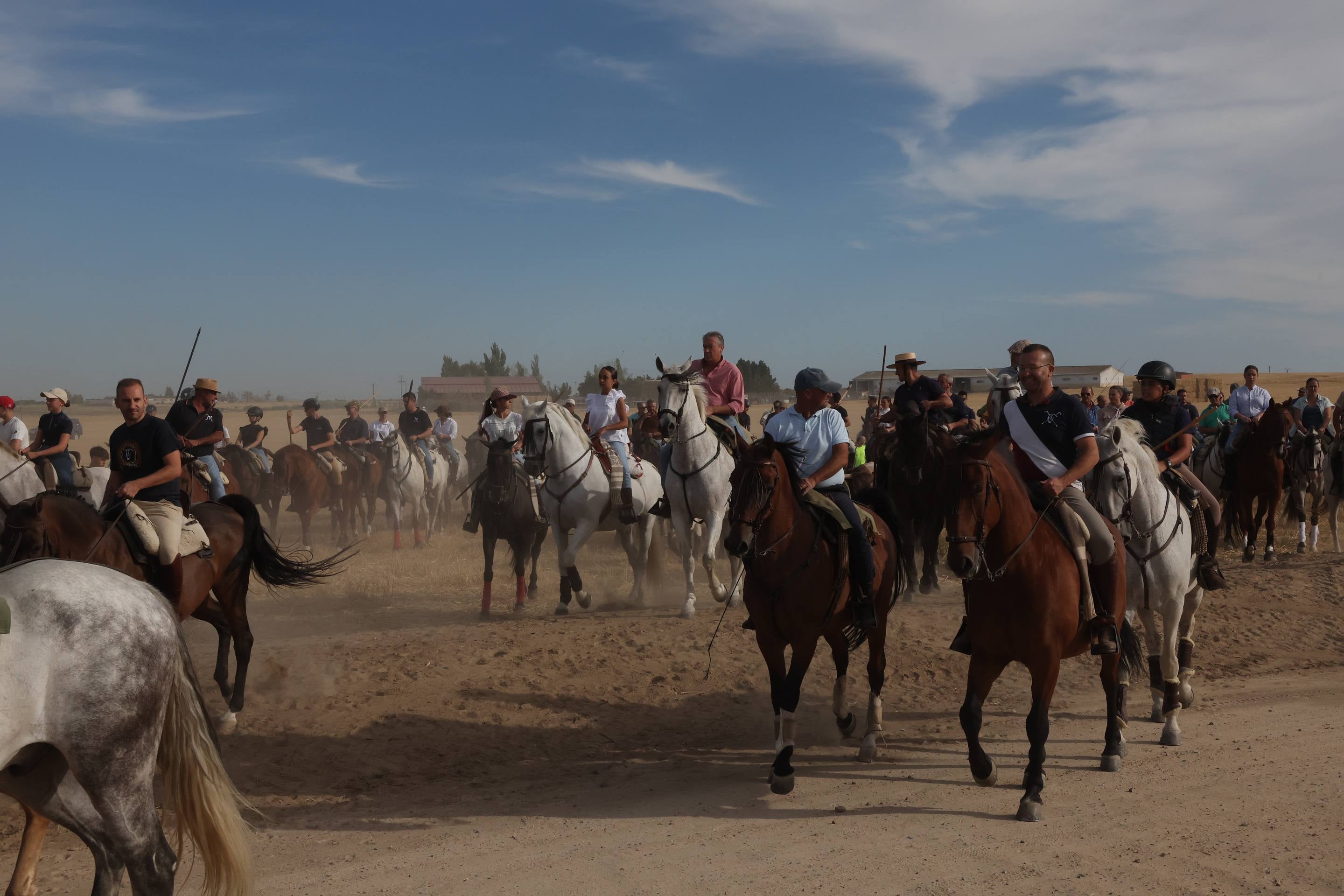 El encierro de bueyes y el desenjaule de novillos de Medina del Campo, en imágenes