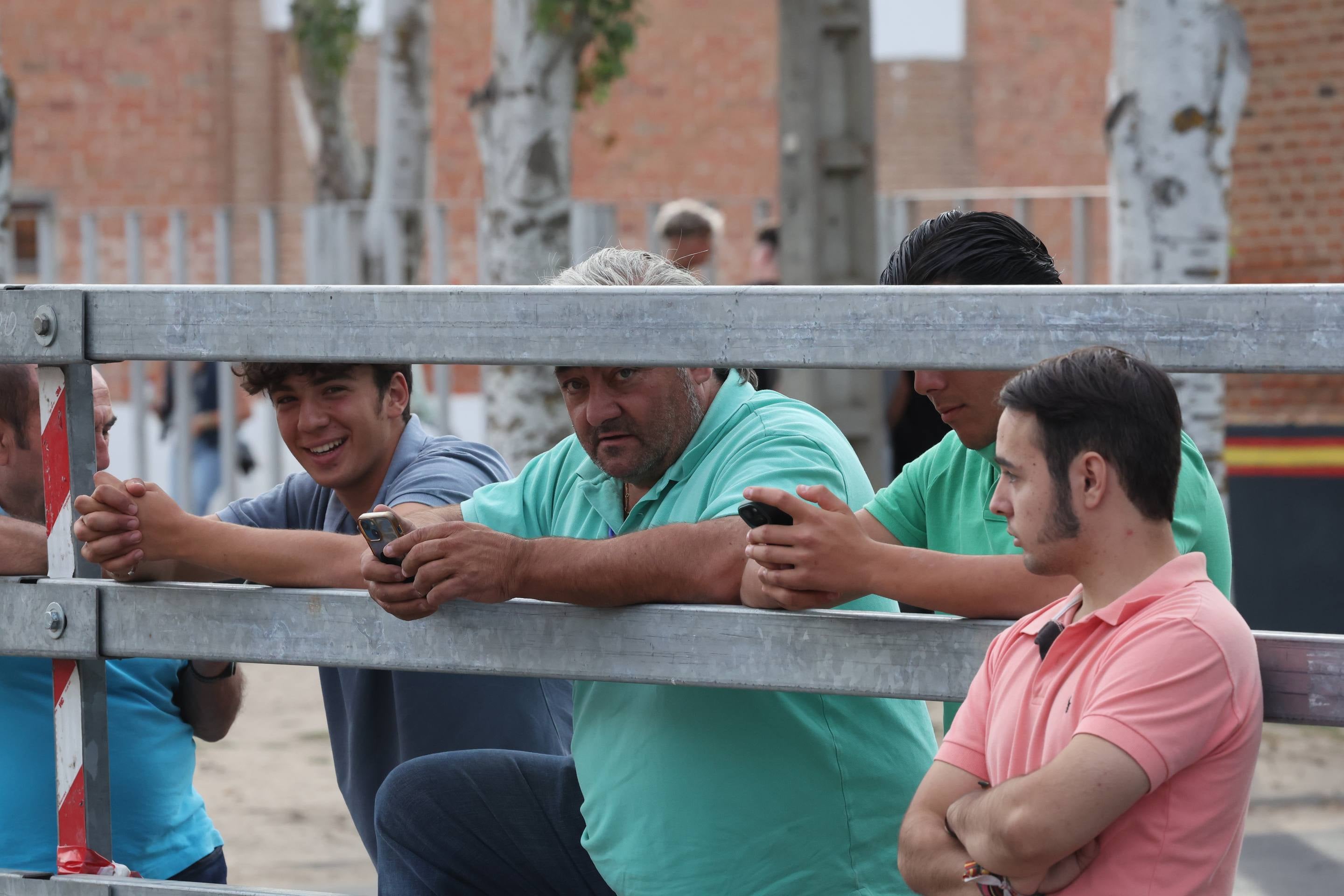 El encierro de bueyes y el desenjaule de novillos de Medina del Campo, en imágenes