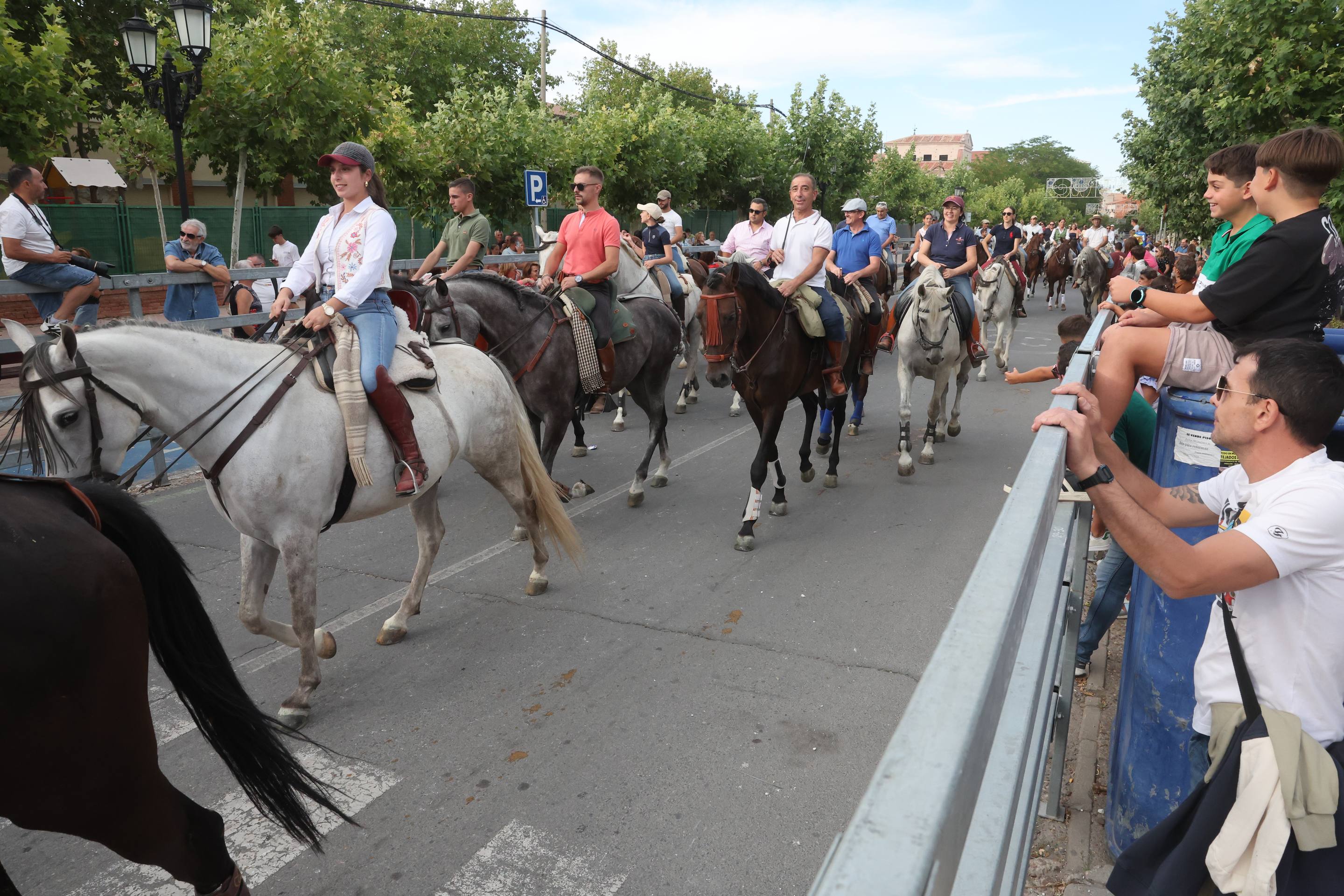 El encierro de bueyes y el desenjaule de novillos de Medina del Campo, en imágenes