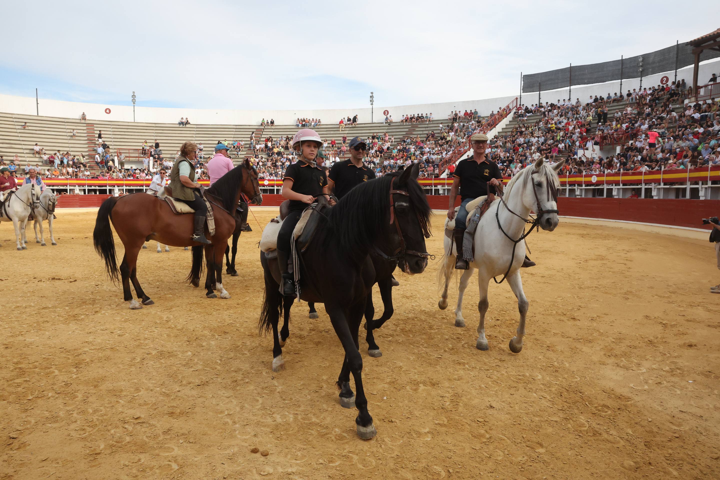 El encierro de bueyes y el desenjaule de novillos de Medina del Campo, en imágenes