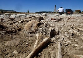 Uno de los restos encontrados en el yacimiento de Las Calaveras.