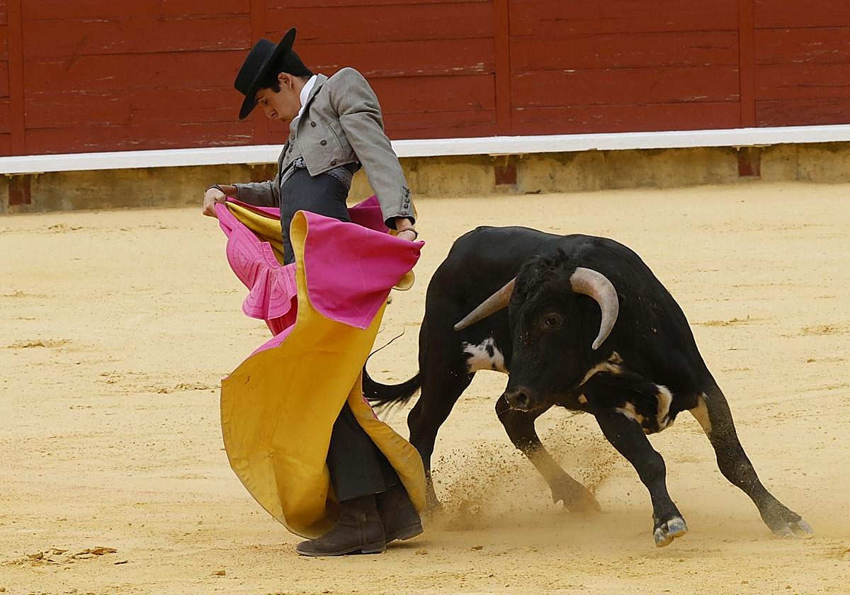 El novillero Iker de Virgilio, en un lance de la tarde.