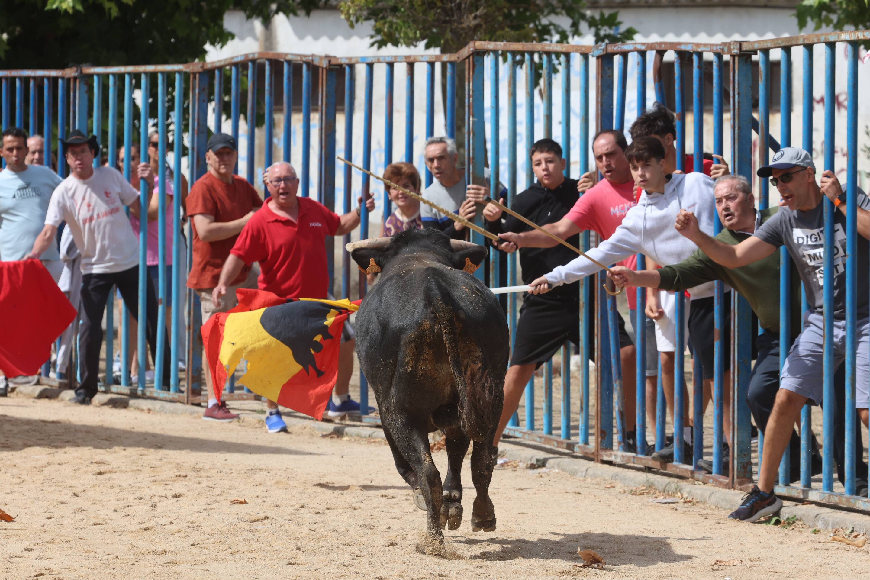 Las imágenes del encierro en Fresno el Viejo