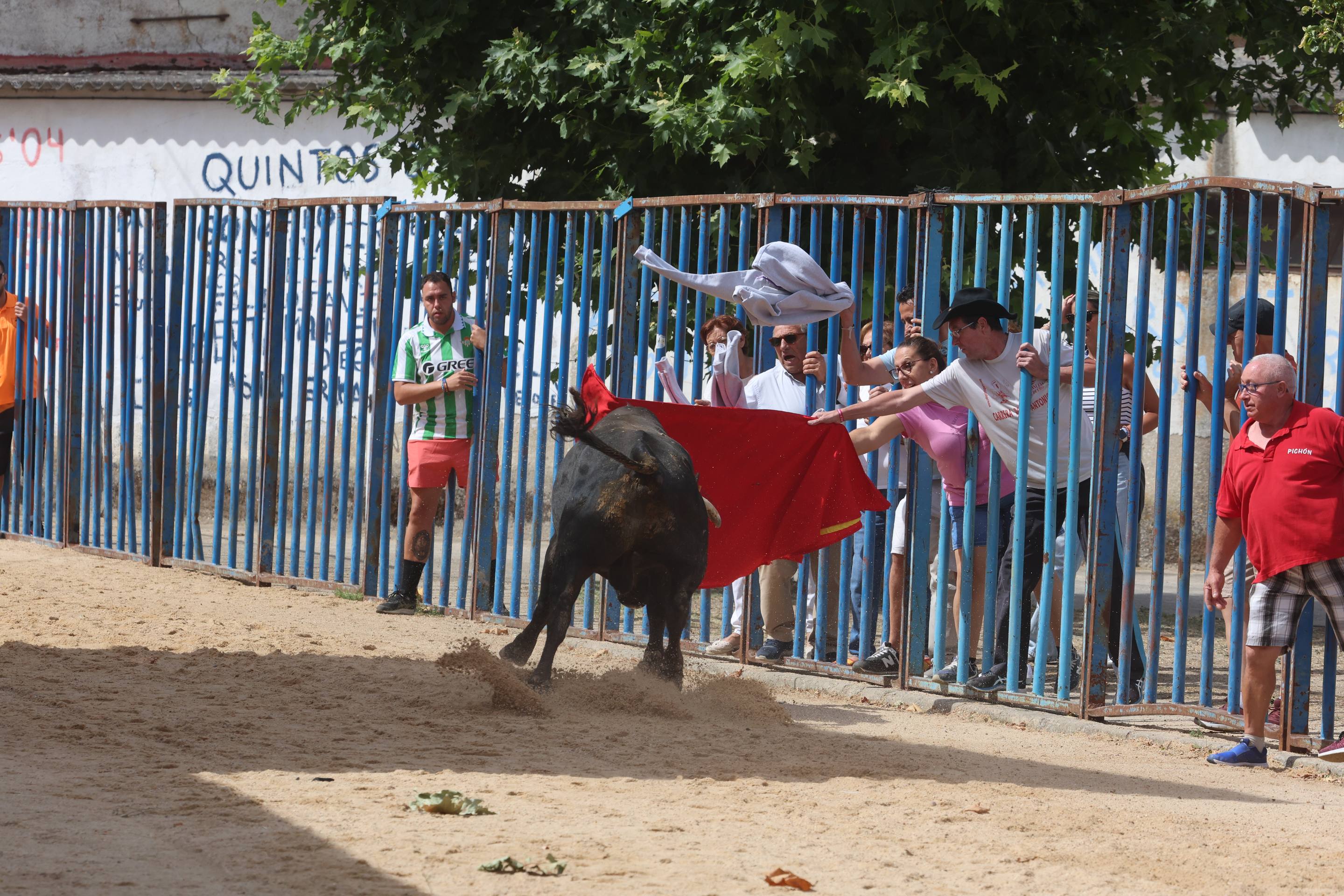 Las imágenes del encierro en Fresno el Viejo