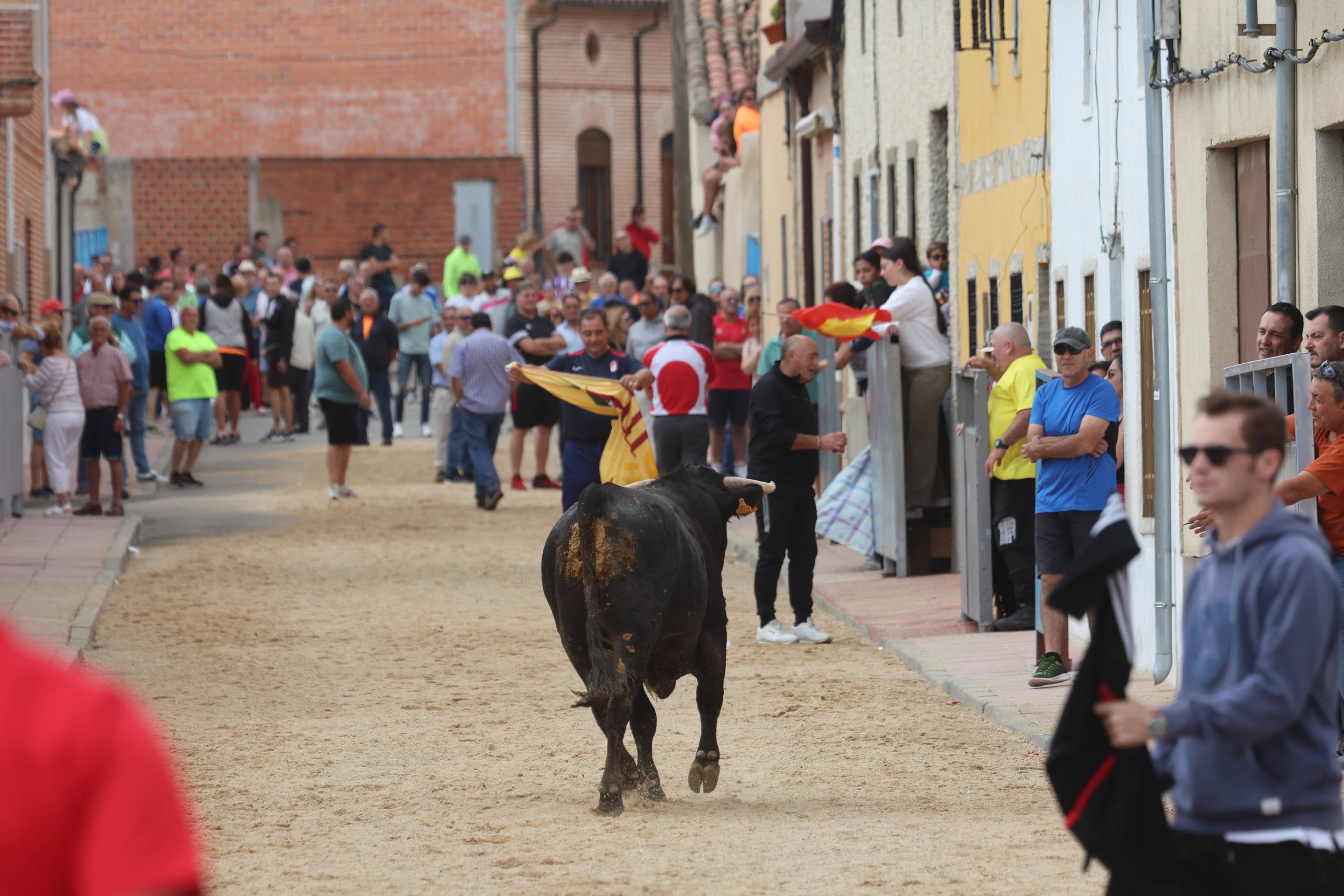 Las imágenes del encierro en Fresno el Viejo