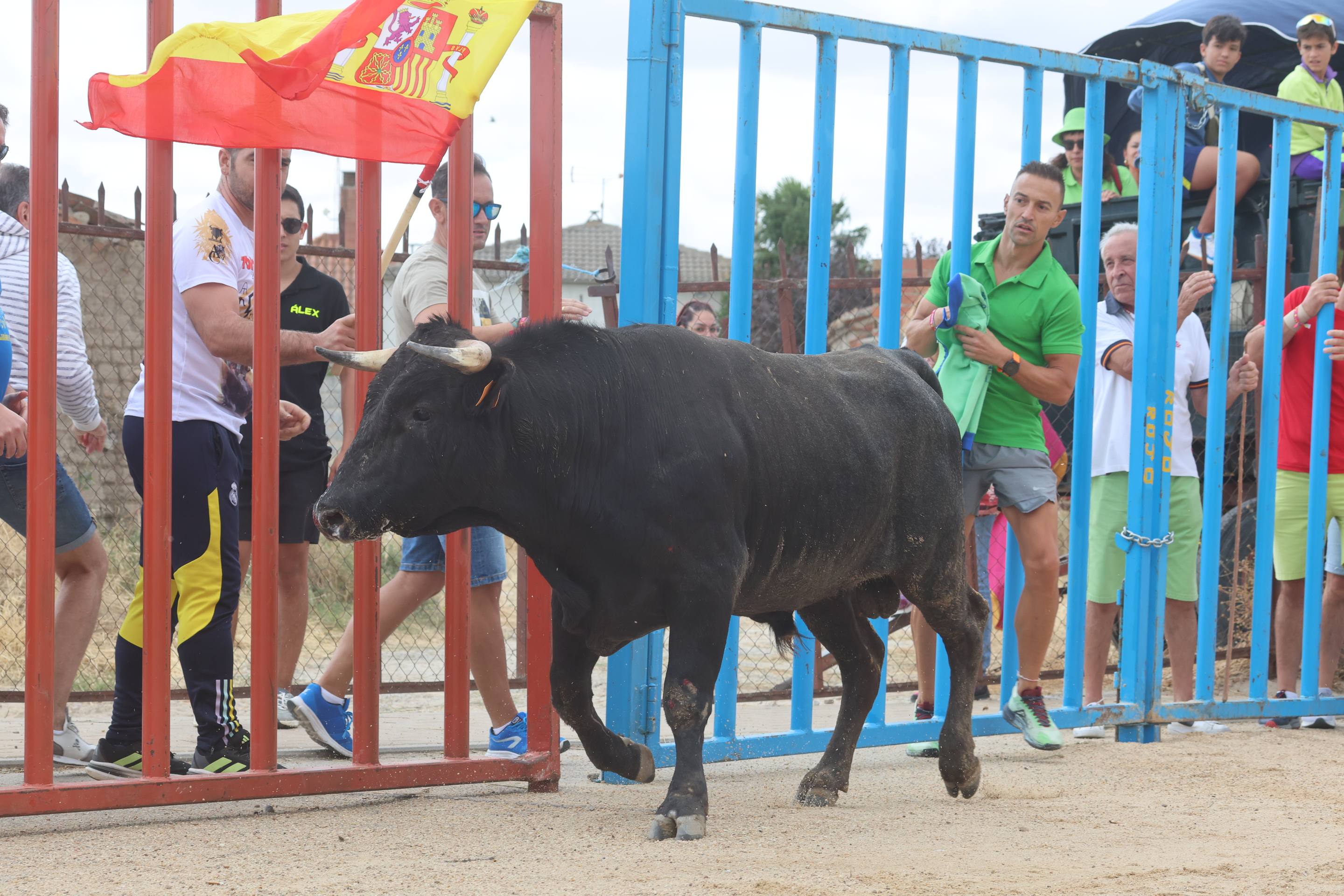 Las imágenes del encierro en Fresno el Viejo
