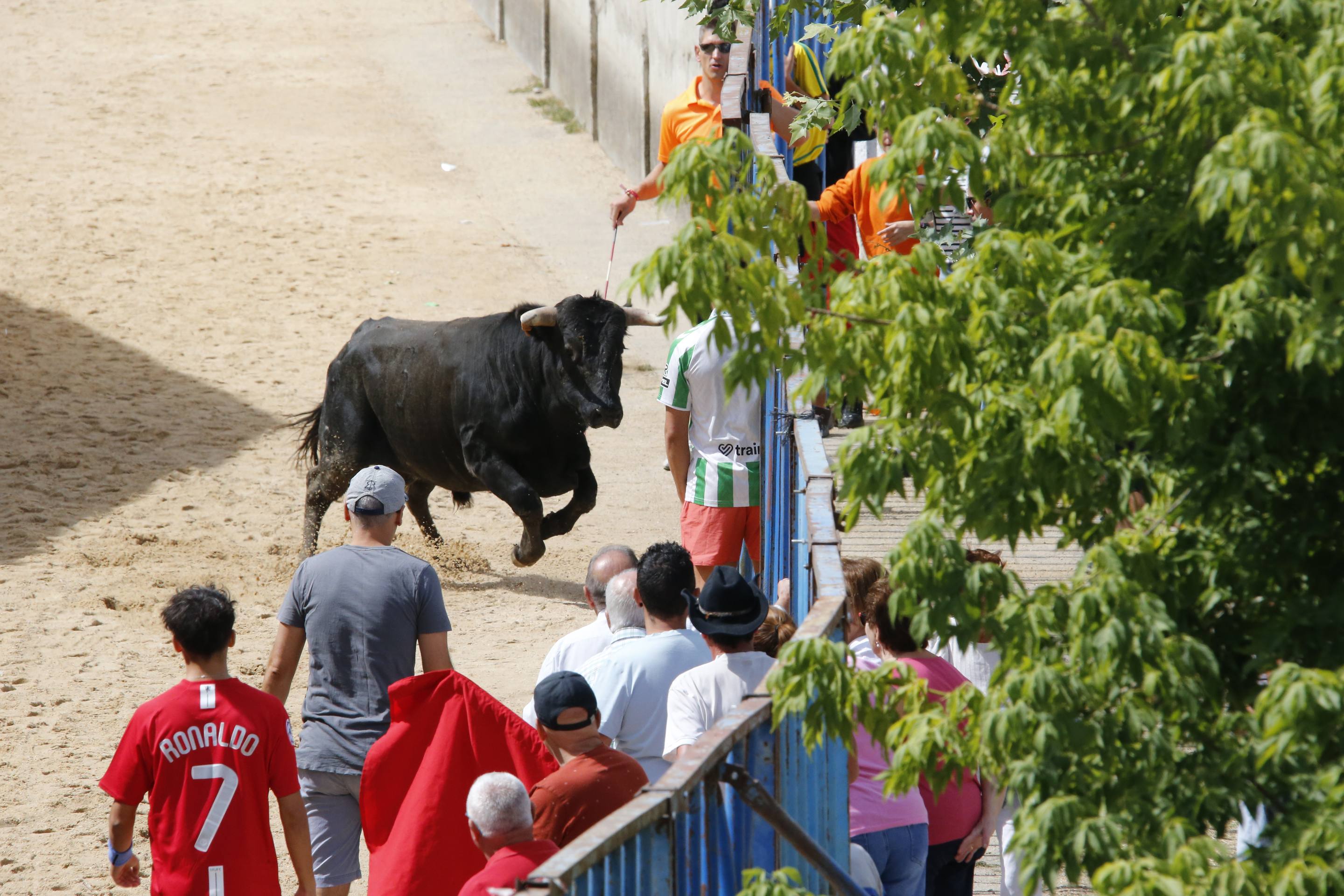 Las imágenes del encierro en Fresno el Viejo
