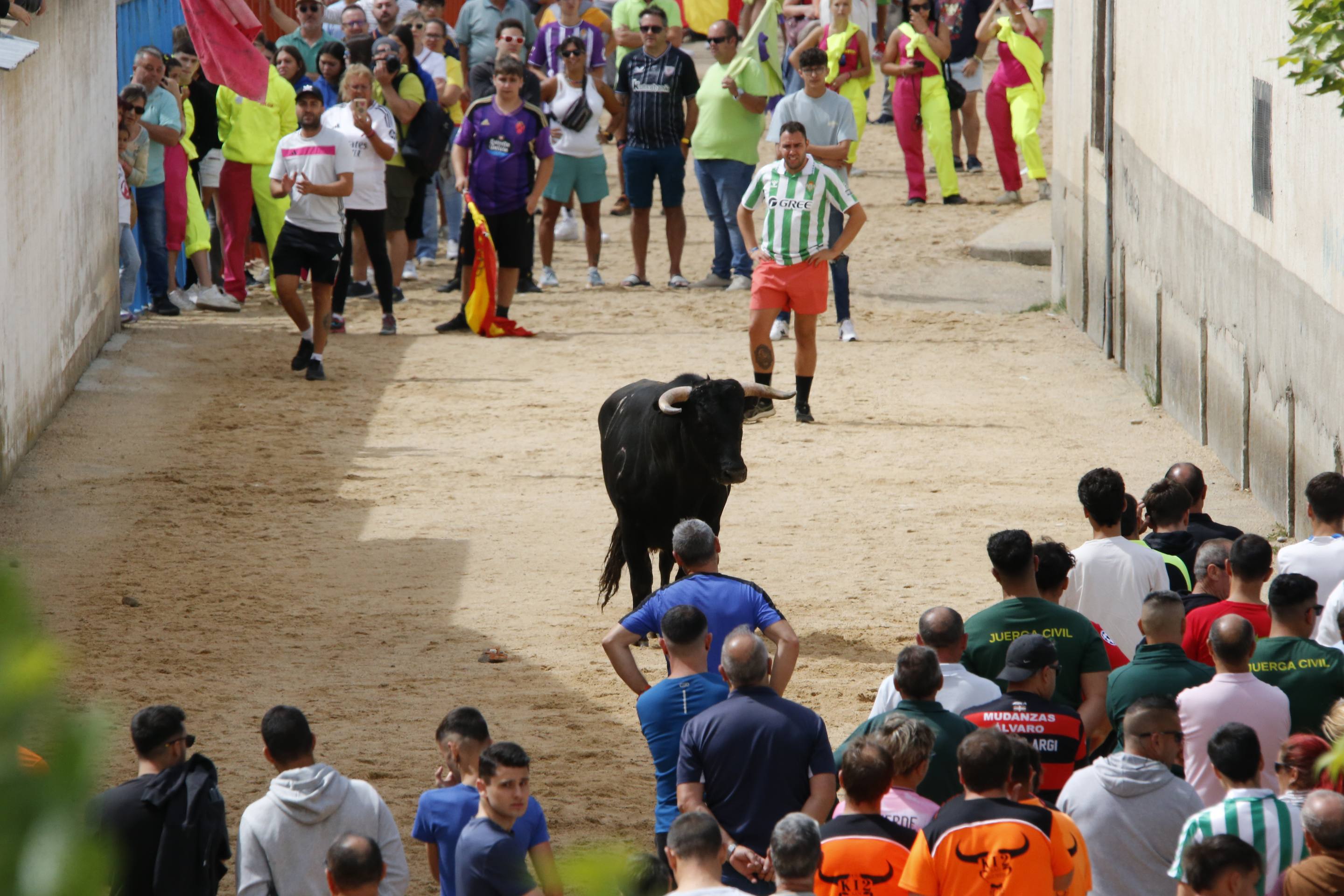 Las imágenes del encierro en Fresno el Viejo
