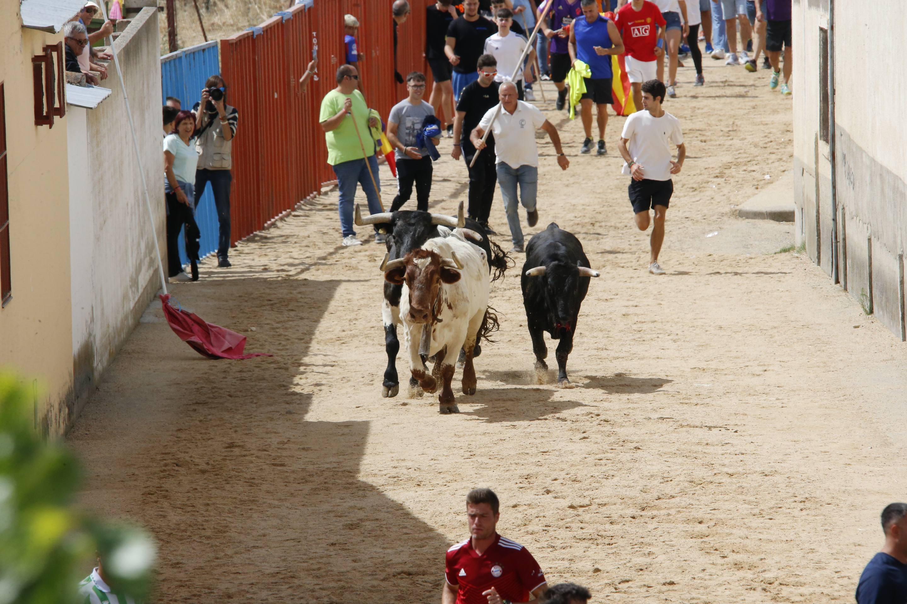 Las imágenes del encierro en Fresno el Viejo