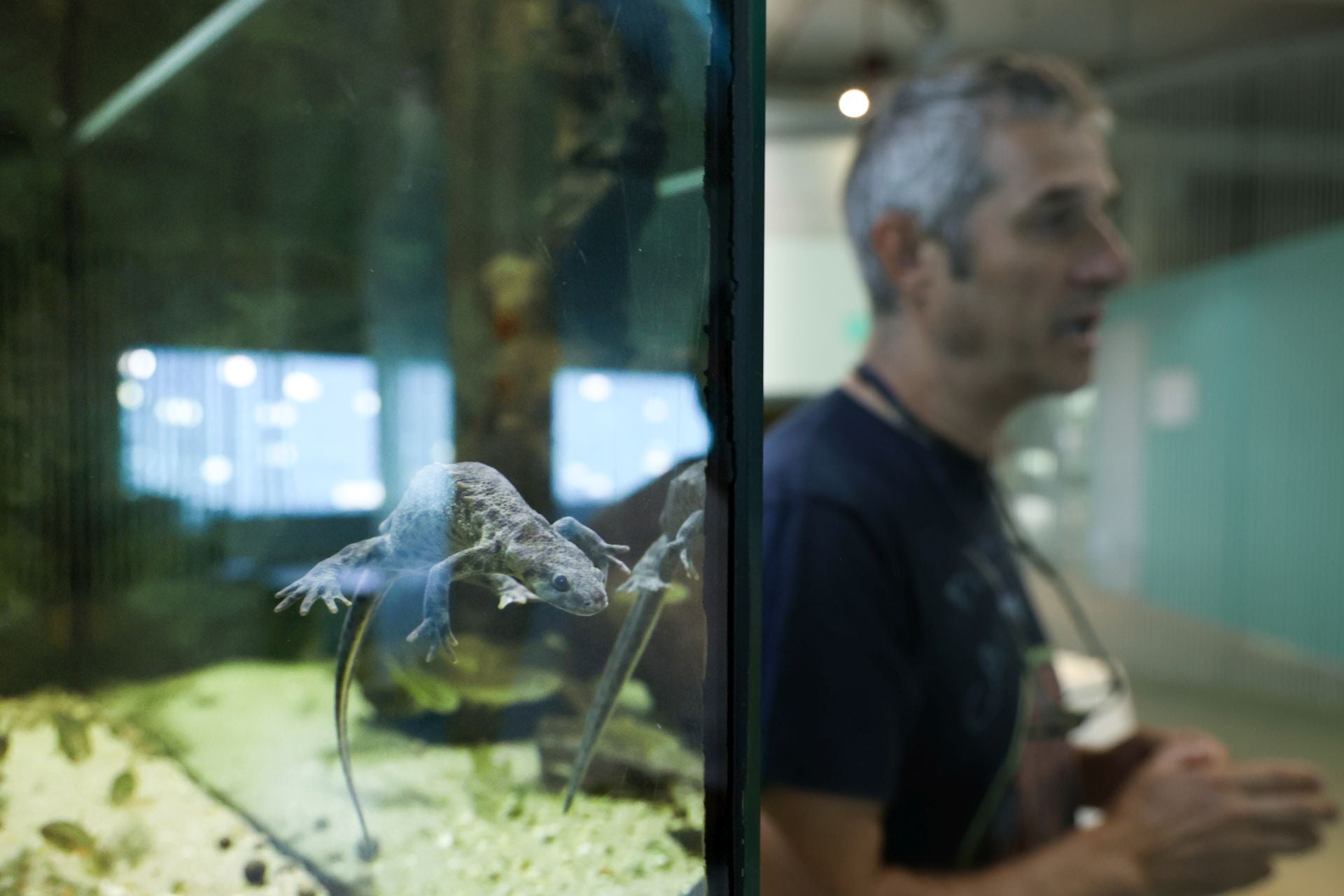 Las imágenes de las especies invasoras de el Pisuerga