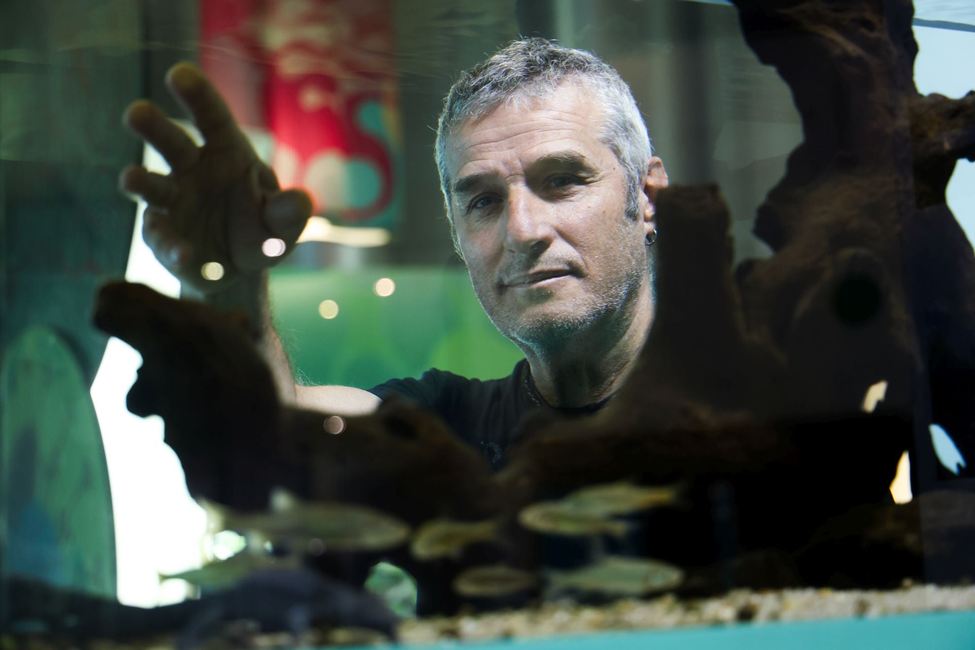 Las imágenes de las especies invasoras de el Pisuerga