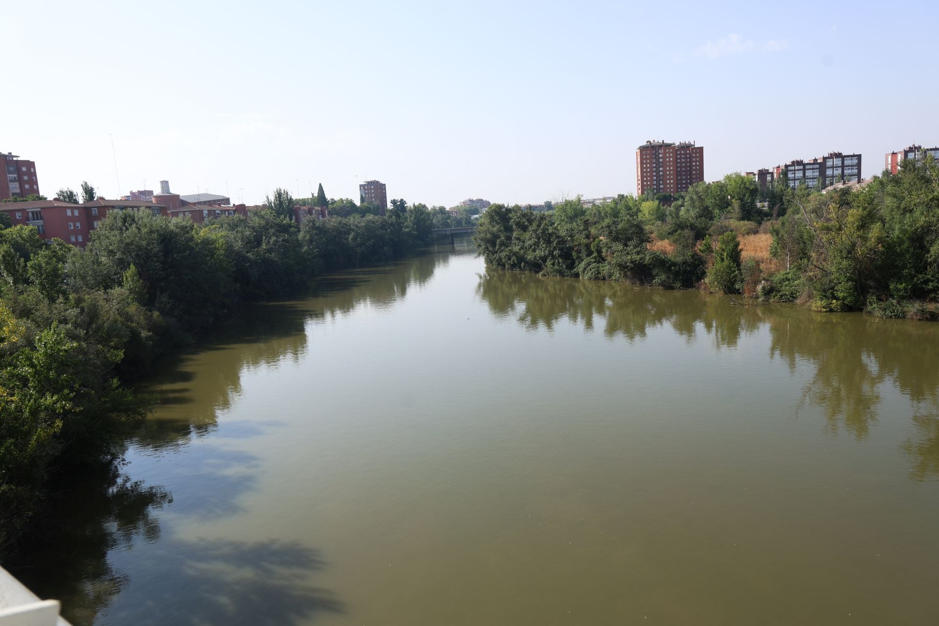 Las imágenes de las especies invasoras de el Pisuerga