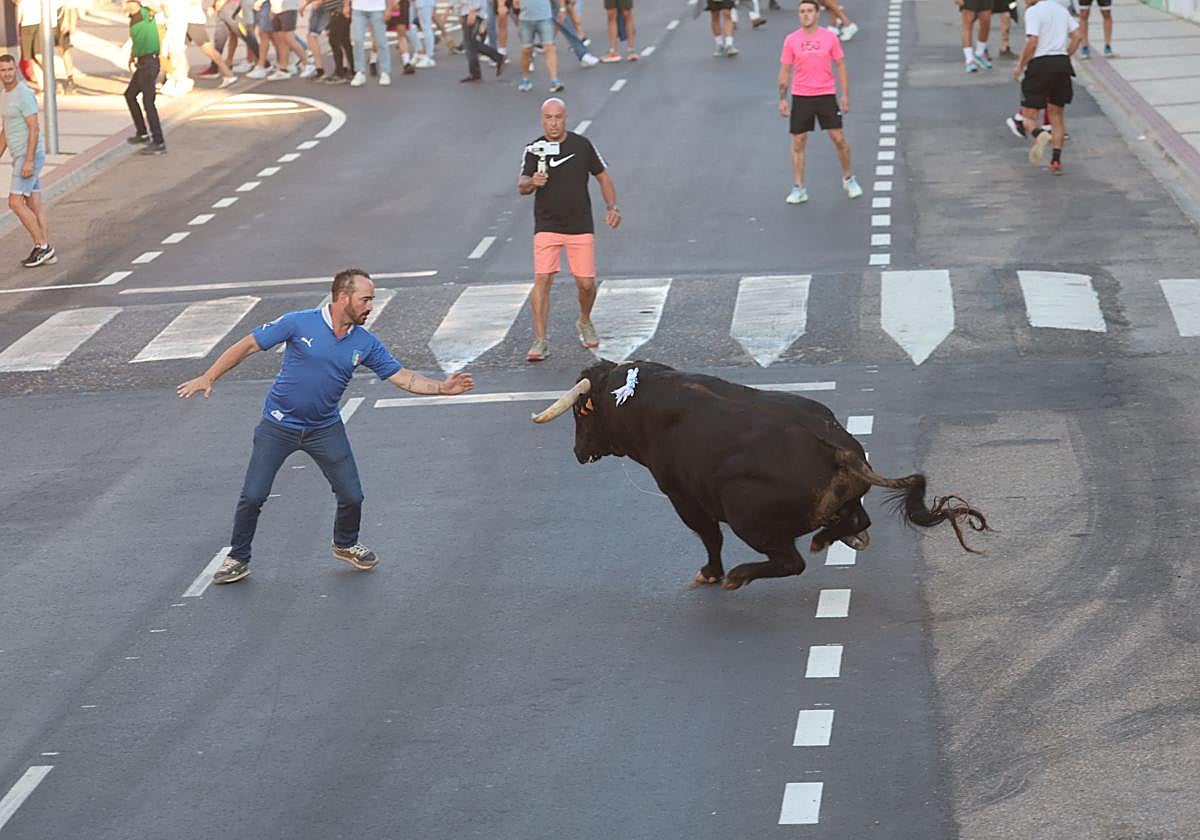 Las imágenes del Toro de la Nava