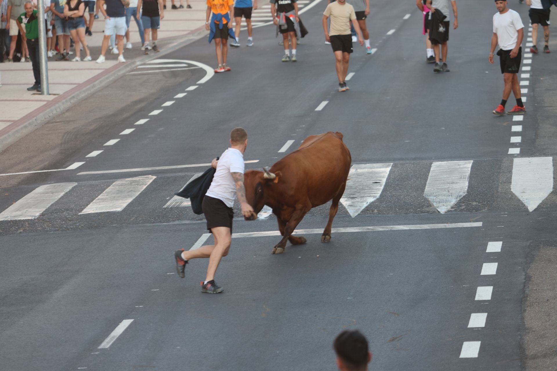 Las imágenes del Toro de la Nava