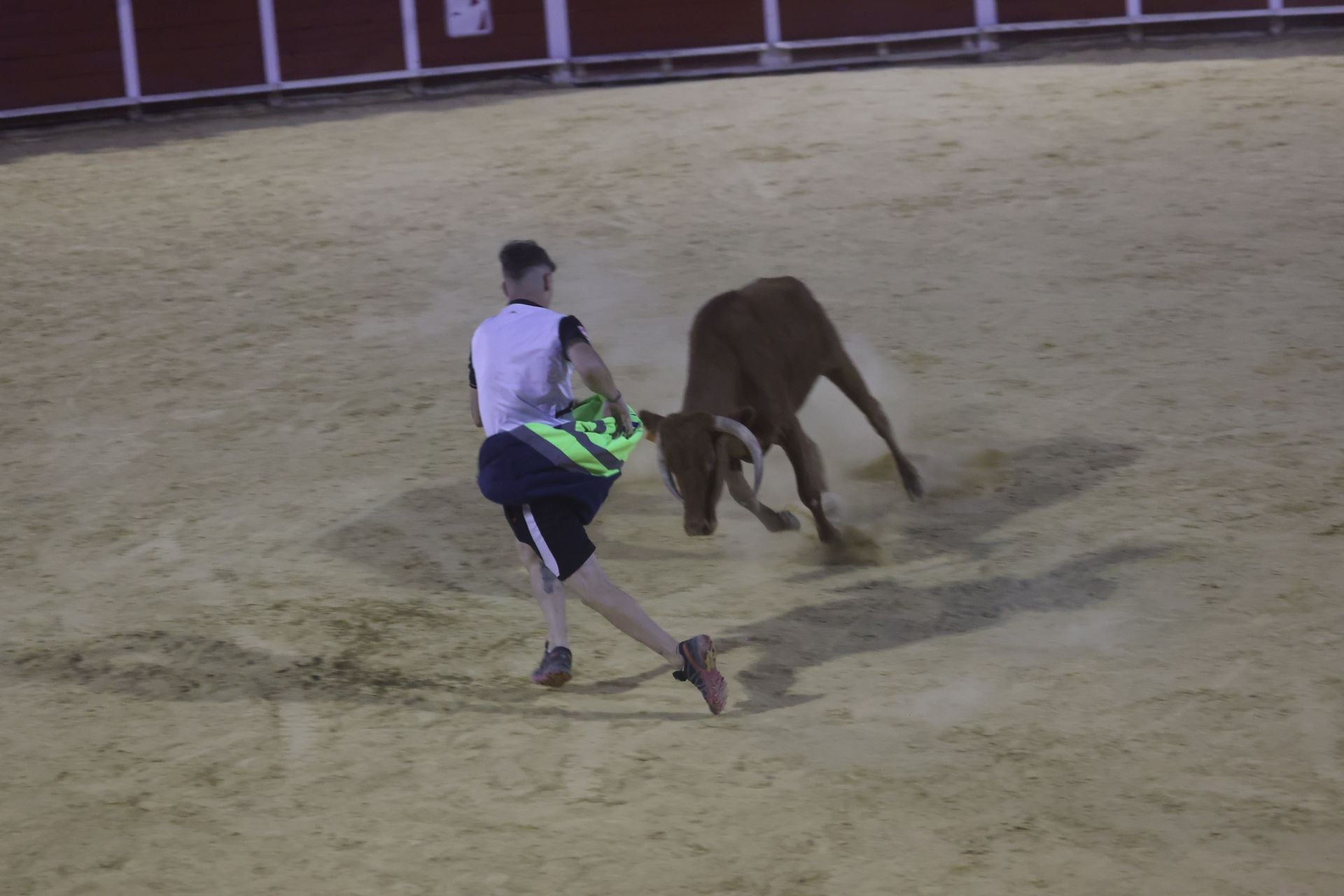 Las imágenes del Toro de la Nava