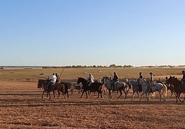 Caballistas conducen a los bueyes y uno de los novillos a la entrada de Rioseco