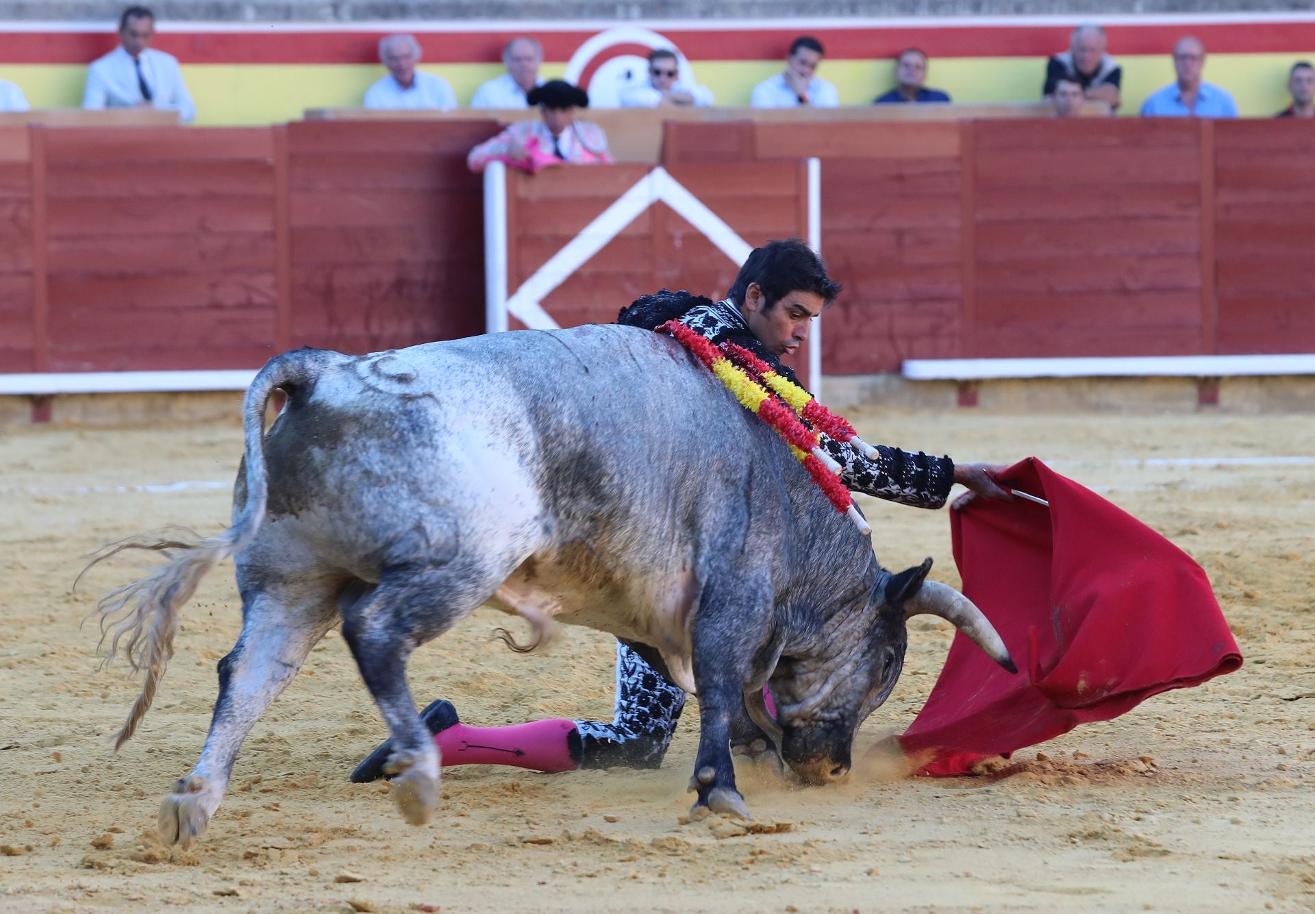Primera corrida de abono en Palencia