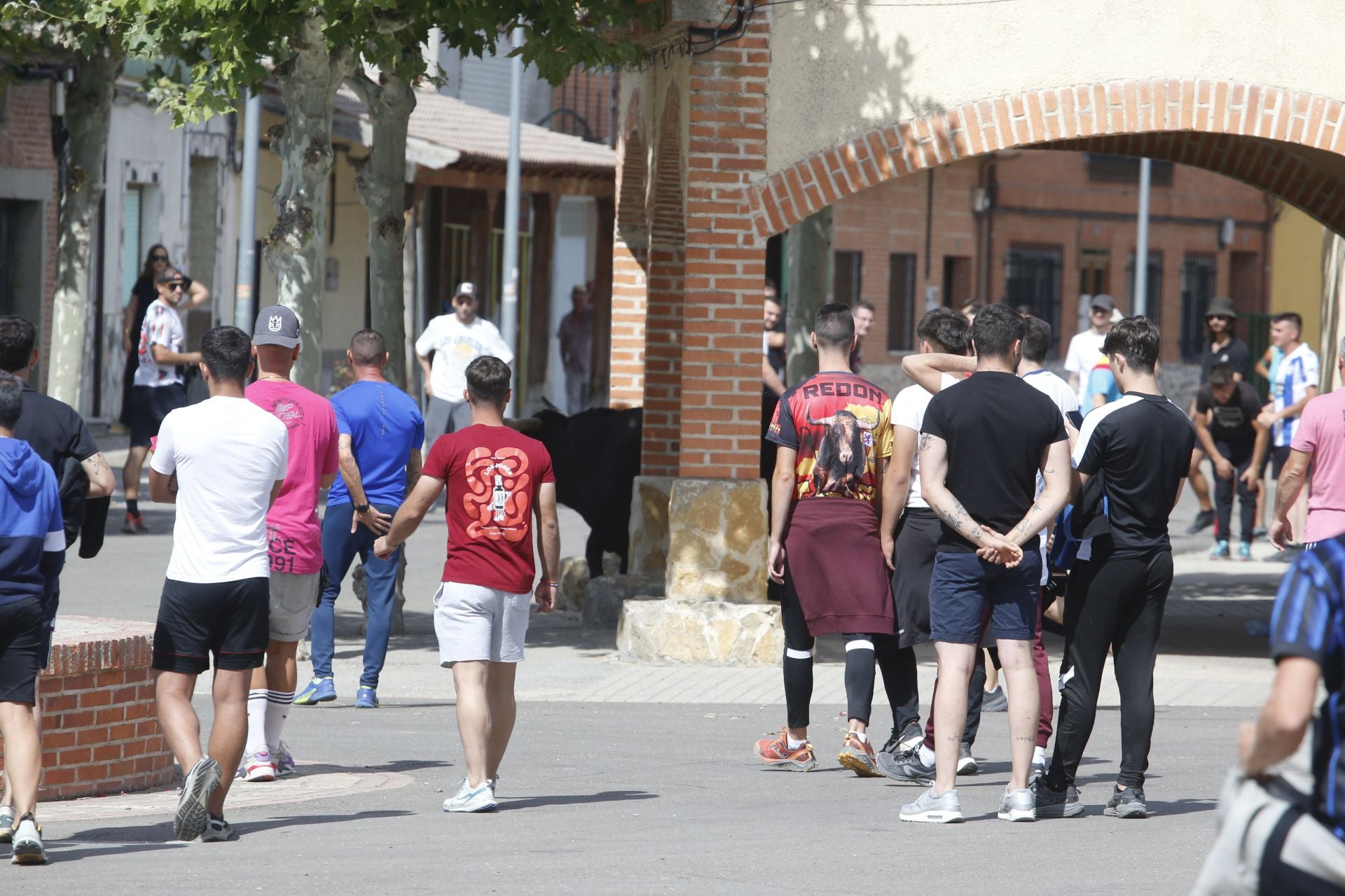 Encierro del sábado por la mañana en Ataquines