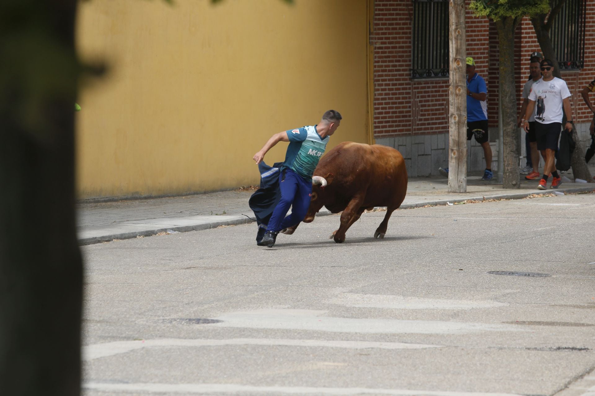 Encierro del sábado por la mañana en Ataquines