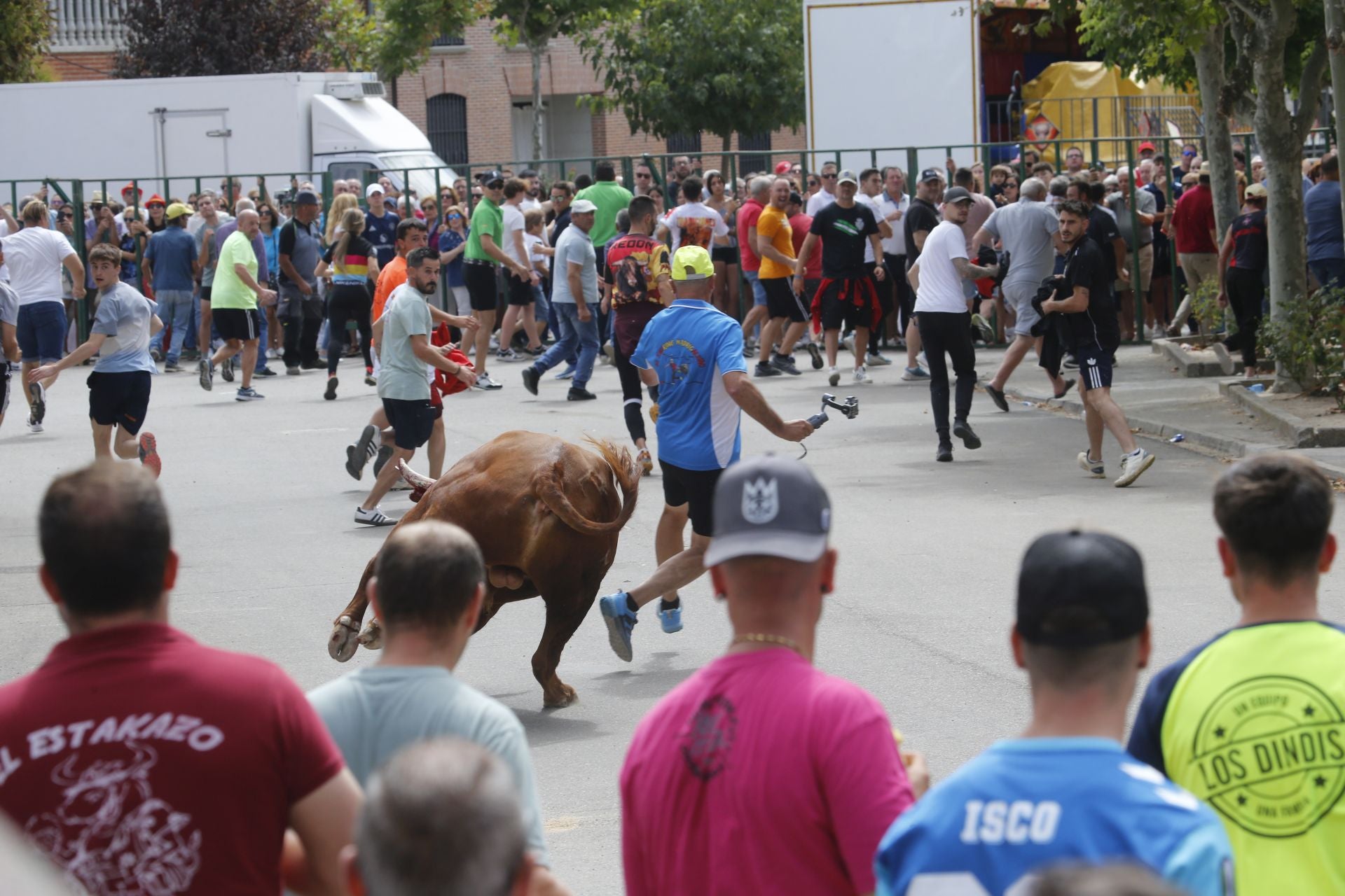 Encierro del sábado por la mañana en Ataquines