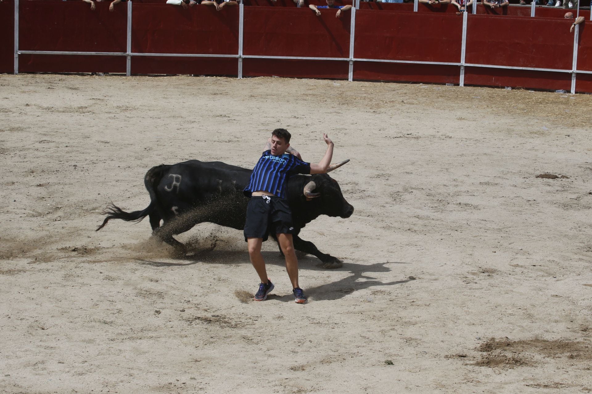 Encierro del sábado por la mañana en Ataquines