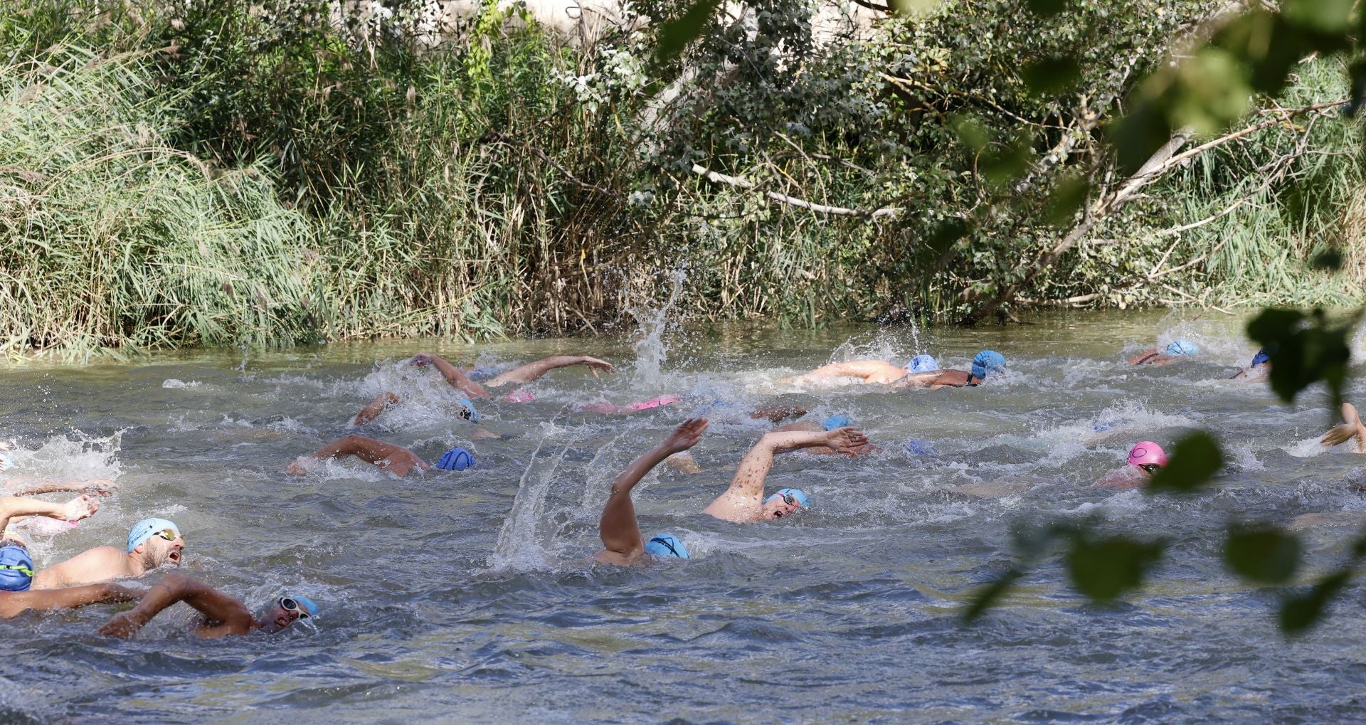 La Travesía a Nado del Carrión, en imágenes