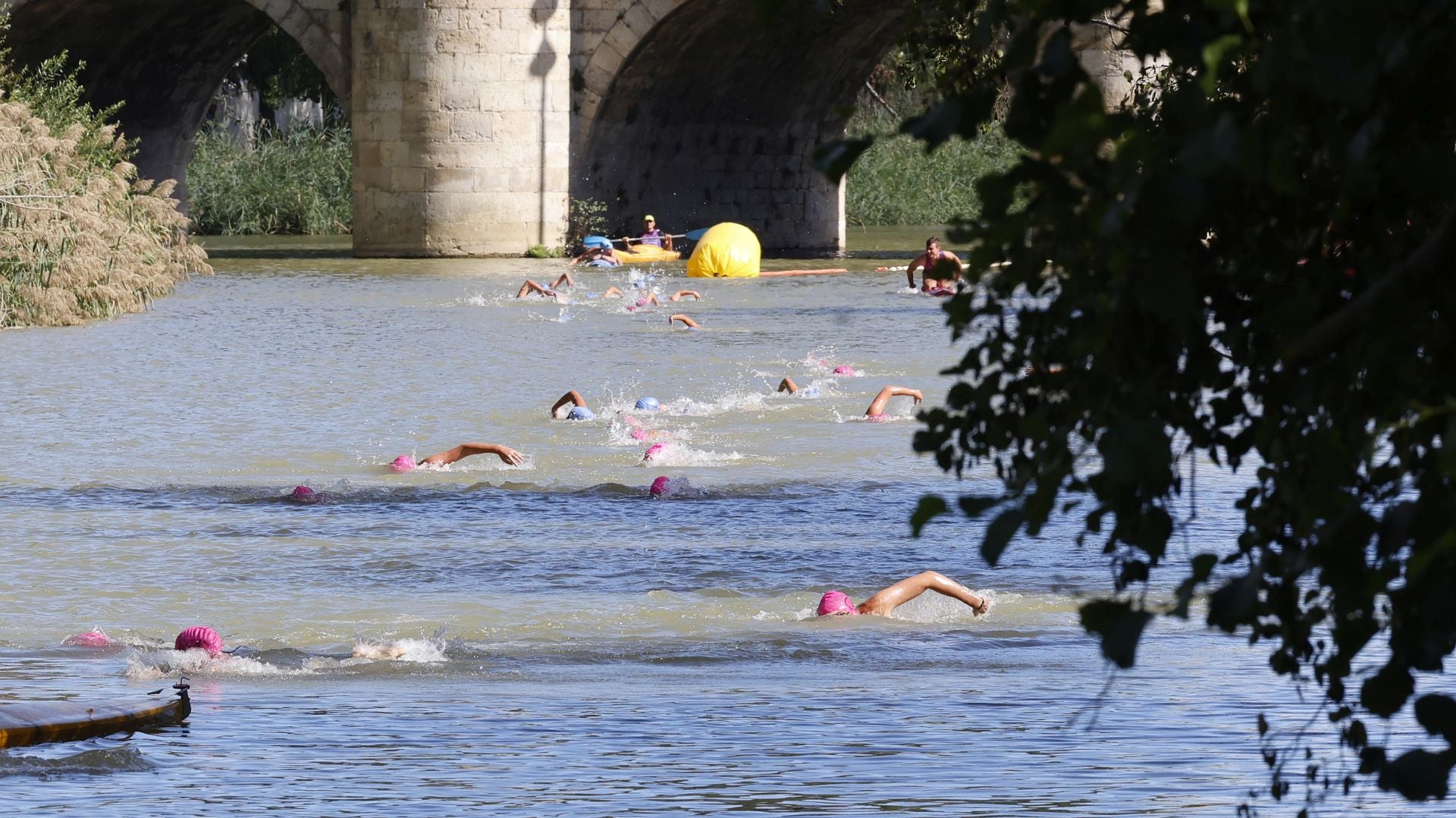 La Travesía a Nado del Carrión, en imágenes