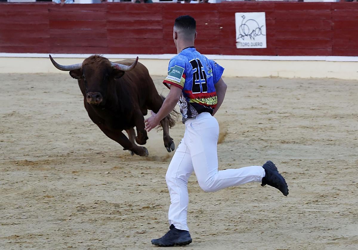 Las imágenes del concurso de cortes en Medina del Campo