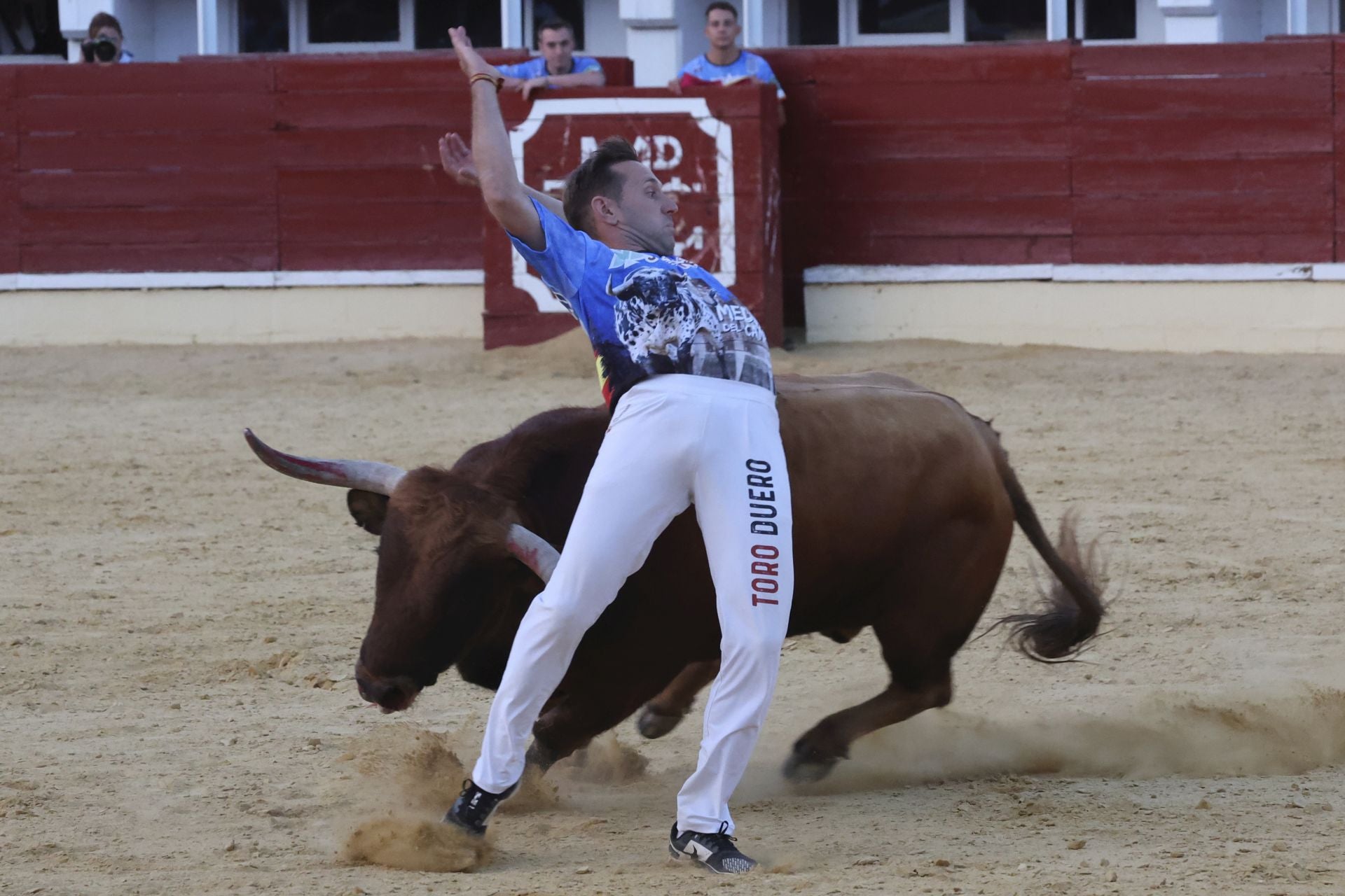 Las imágenes del concurso de cortes en Medina del Campo