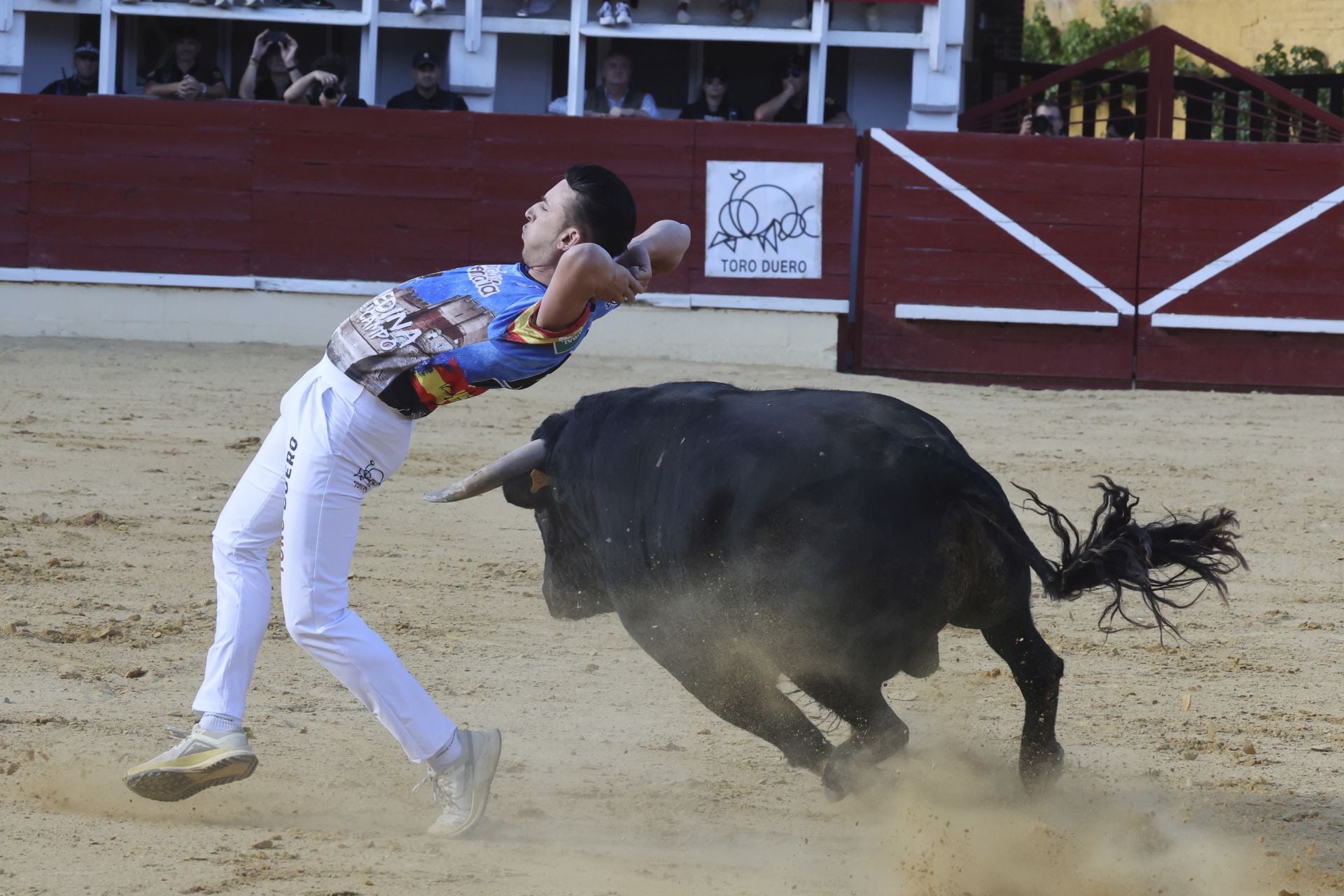 Las imágenes del concurso de cortes en Medina del Campo